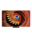 TCL C8L 65 Inch SQD-Mini LED 4K TV (2026)